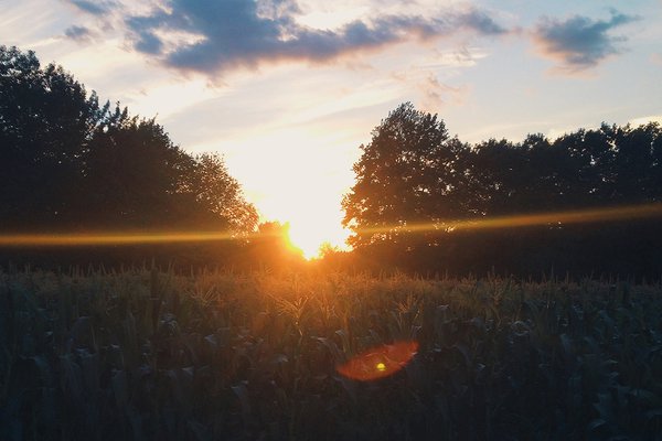 Sunset at Kimball Fruit Farm