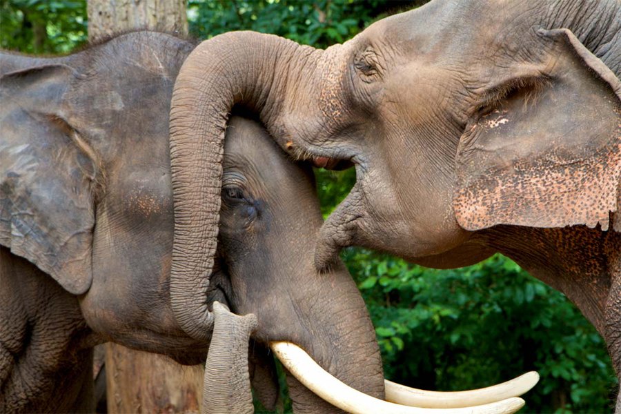 Photo by Jeana Shandraw of Surf and Sunshine.