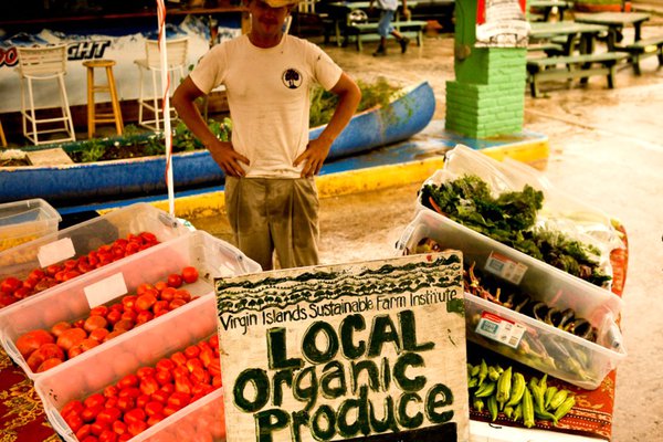 Local organic produce from the farm for sale.