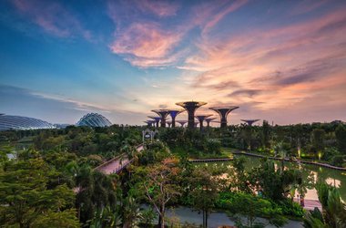 Gardens by the Bay