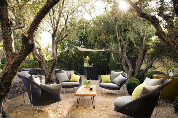 Lush outdoor common space at Hotel Healdsburg in Healdsburg, California