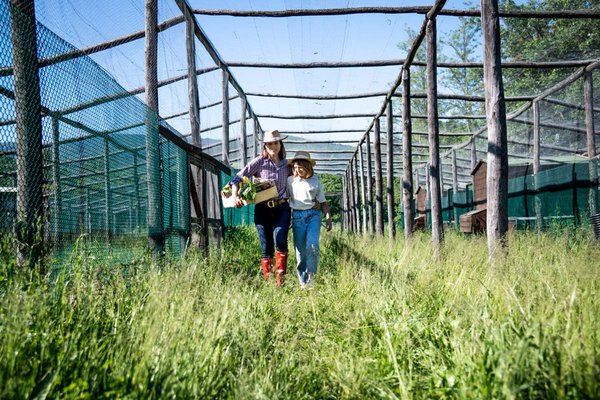 Vittoria Ferragamo on the farm