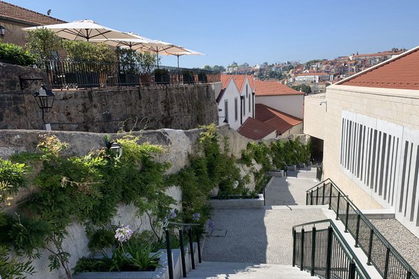 WOW, The New Cultural District