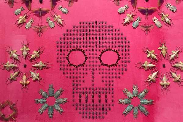 Jennifer Angus Installation at Renwick Gallery, Washington DC