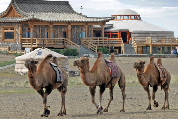 Three Camel Lodge