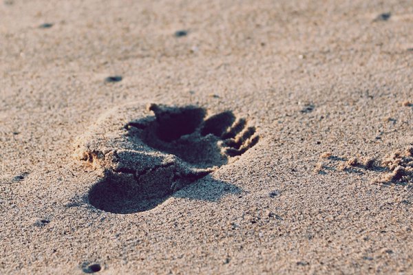 Foot in sand