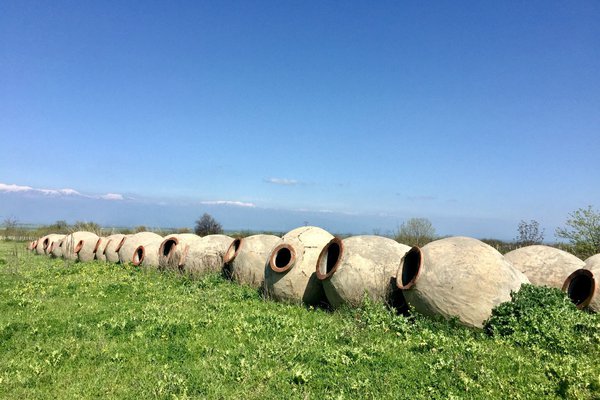 Qvevri, ancient earthenware vessels used in Georgian winemaking. All photos by Jeralyn Gerba.