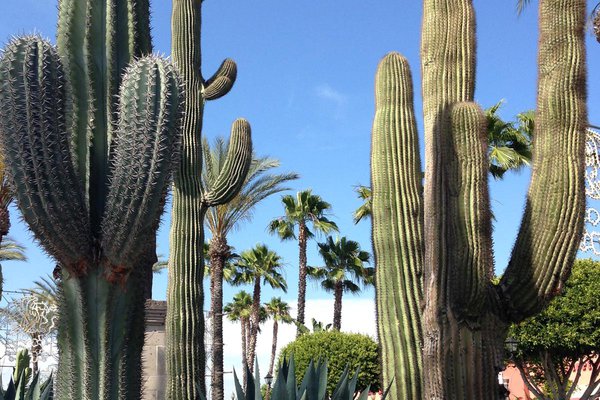 A love letter to Plaza Mexico in Lynwood, California.