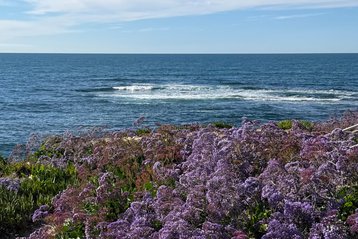 La Jolla, California