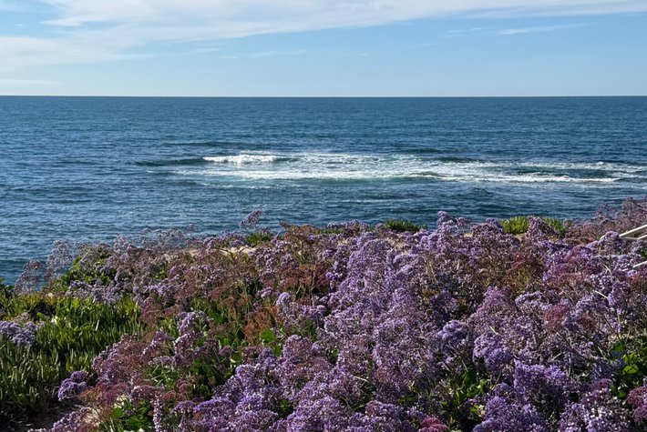 La Jolla, California