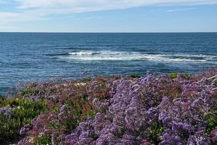 La Jolla, California