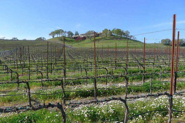 The Lancaster Winery, Sonoma, California