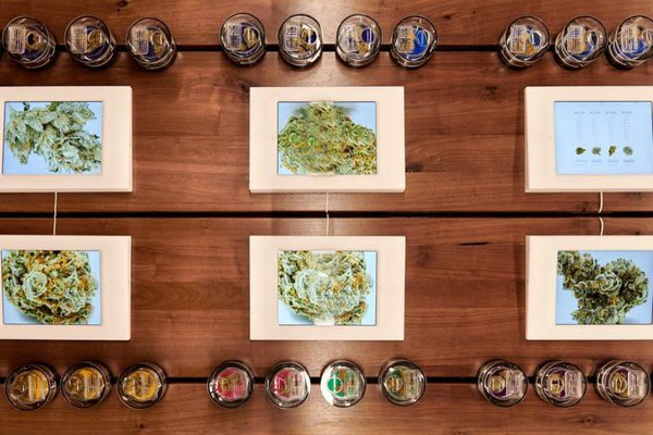 Med Men in West Hollywood, Los Angeles