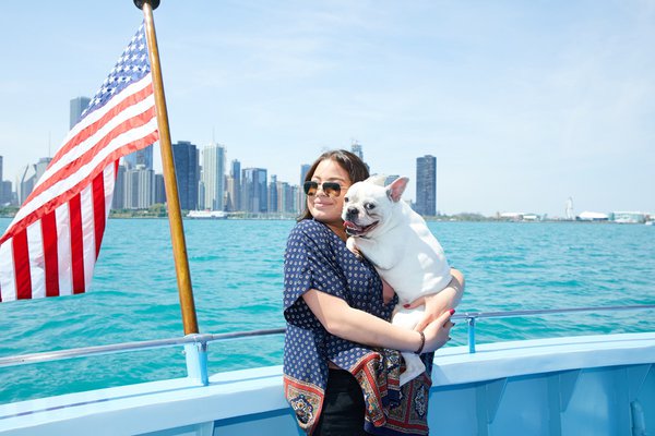 Mercury Canine Cruises in Chicago