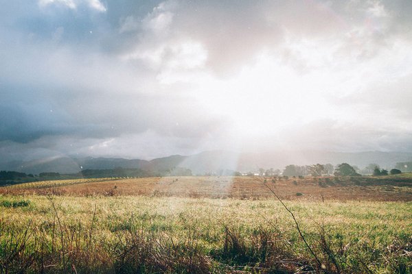 Napa Valley by Jesse Gardner