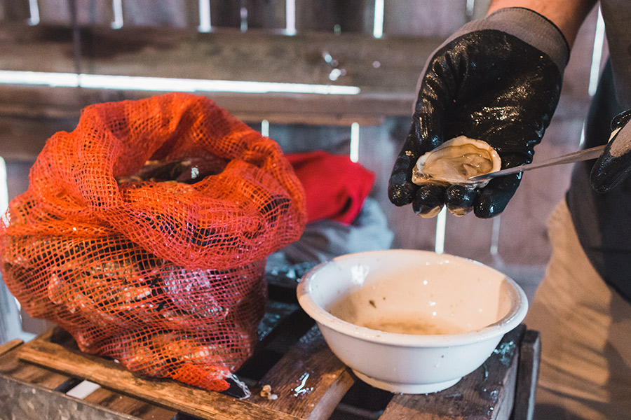 The Arnold House, oysters