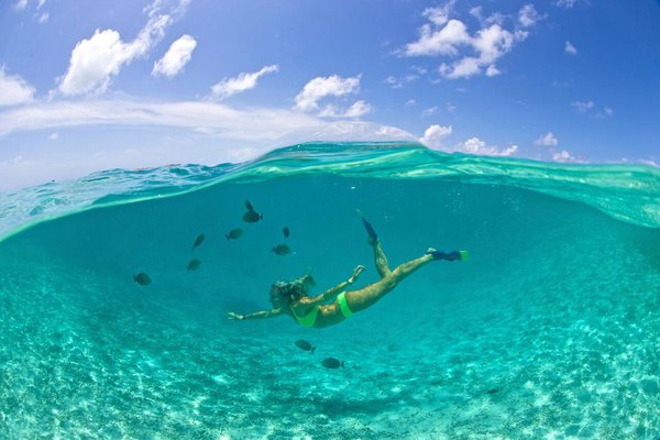 Woman diving in the ocean. Photo courtesy of Oceans Edge Resort and Marina.