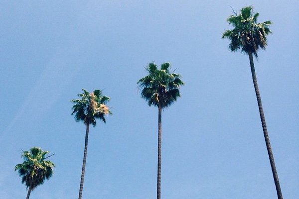 Coachella Valley Music and Arts Festival