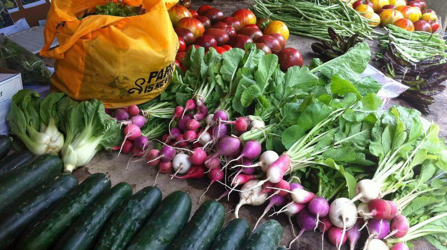 Photo courtesy of Ridge to Reef Farm.