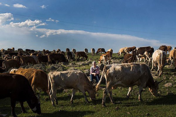 Robyn Eckhardt in Turkey