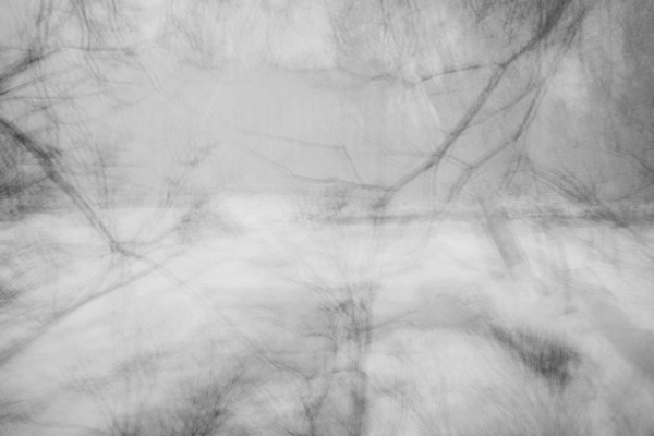 Ward Pound Ridge Reservation