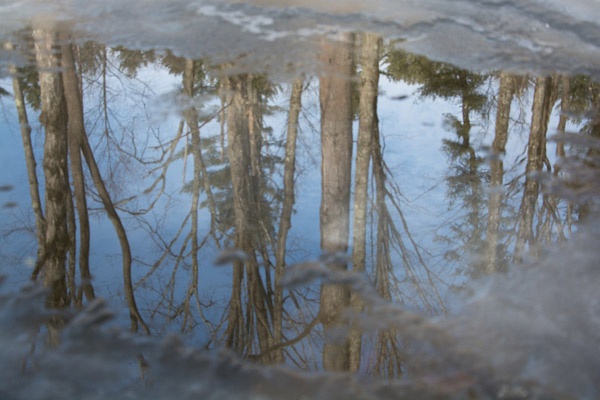 Ward Pound Ridge Reservation