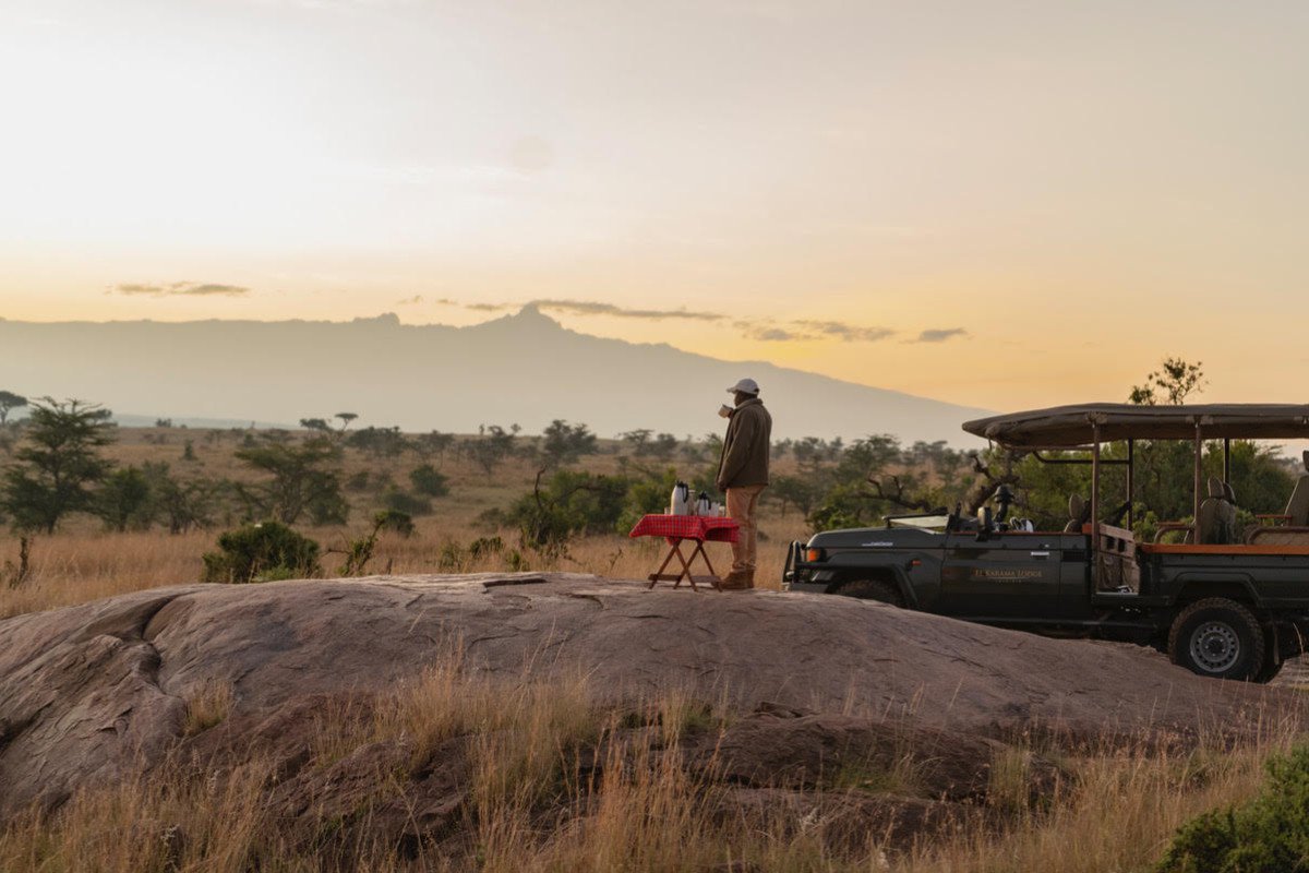 A quiet morning game drive in Kenya A quiet morning game drive in Kenya