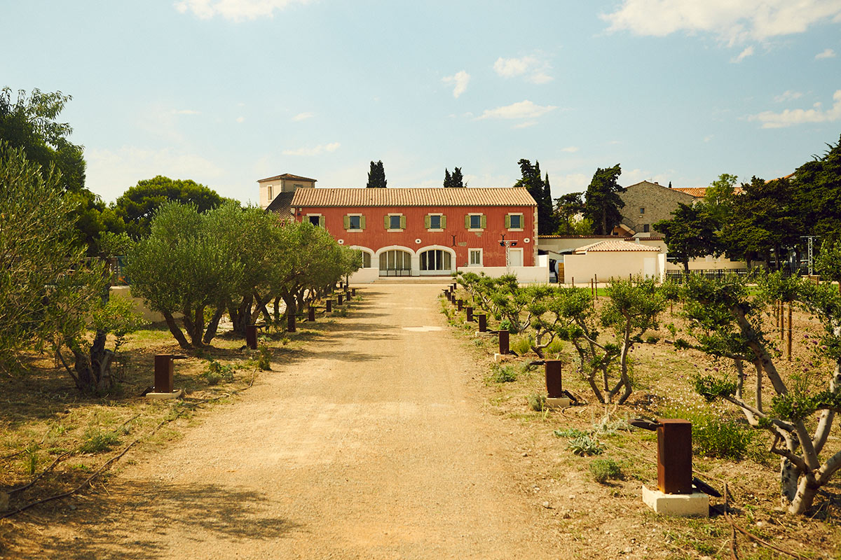 Discover Languedoc-Roussillon: France s Hidden Wine Haven and Coastal Gem Beyond Côte d Azur