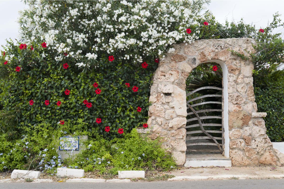 On the road in Menorca On the road in Menorca