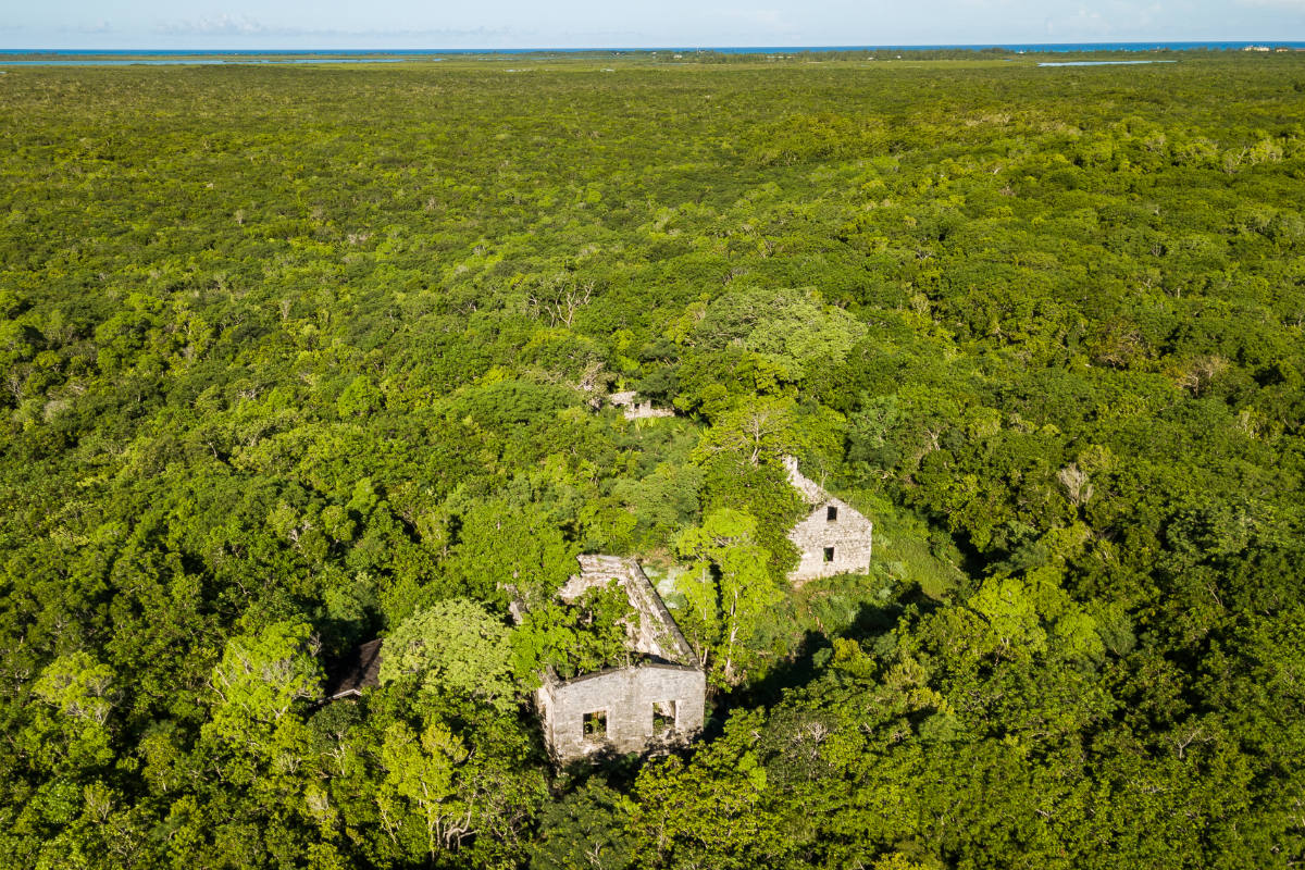 Why I Don t Belong in Turks & Caicos – But the Belongers Do