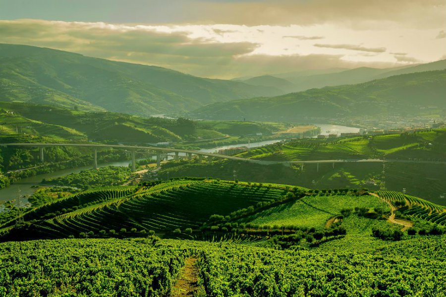 Douro Valley, Portugal.