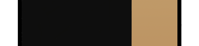 Darkwynd Chronicles - Episode 5, Page 5: Onyx at the Fair - Part 1