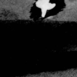 Nova 44 - Episode 88: Chapter 4, Page 14