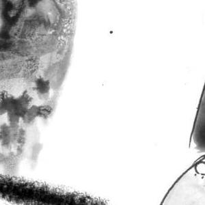 Nova 44 - Episode 91: Chapter 5, Page 01