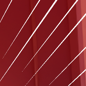 EXTRA! - Episode 556: C11 - Save the Cat! - P555