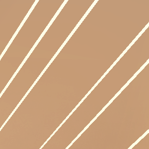 EXTRA! - Episode 557: C11 - Save the Cat! - P556