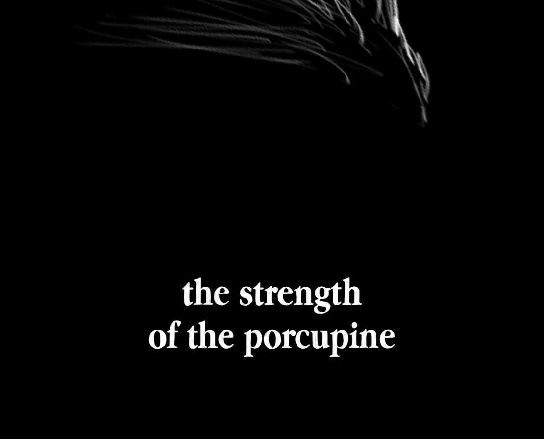 The Gifts of Darkness - Episode 6, Page 1: Chapter 6: The strength of the porcupine