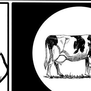 A Witch Named Koko - Episode 101: 2016-06-20