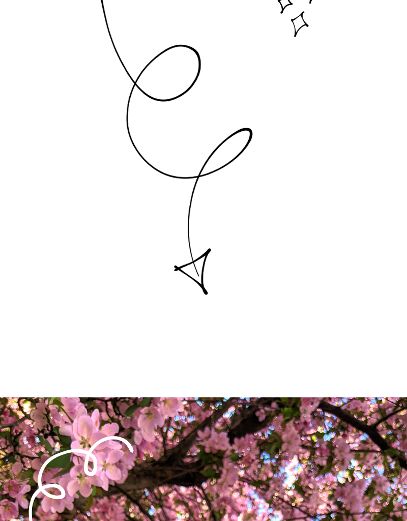 Seb & Spice - Episode 80, Page 1: Volume One books are here!