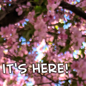 Seb & Spice - Episode 80: Volume One books are here!