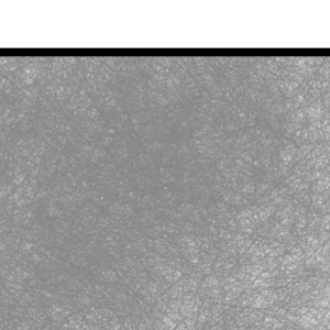 Hybrid: Humanity - Episode 274: Chapter 30 - Page 7