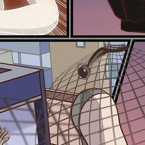 M9 Girls! - Episode 112: Net loss