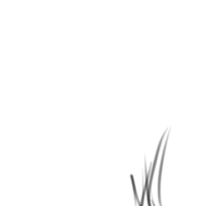 Struggle every day - Episode 17: Something new