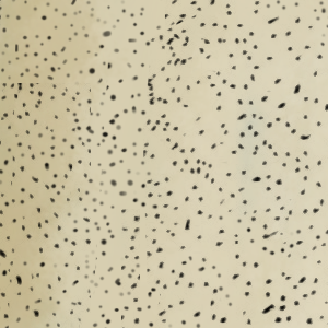  - Episode 212: Tourney In Aborku, Page 69