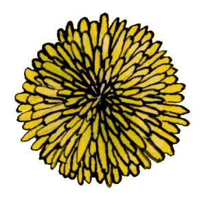 The Infection - General Comic Series