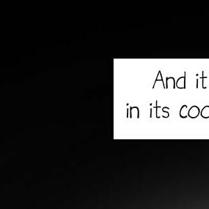 Hands - Episode 5: 5