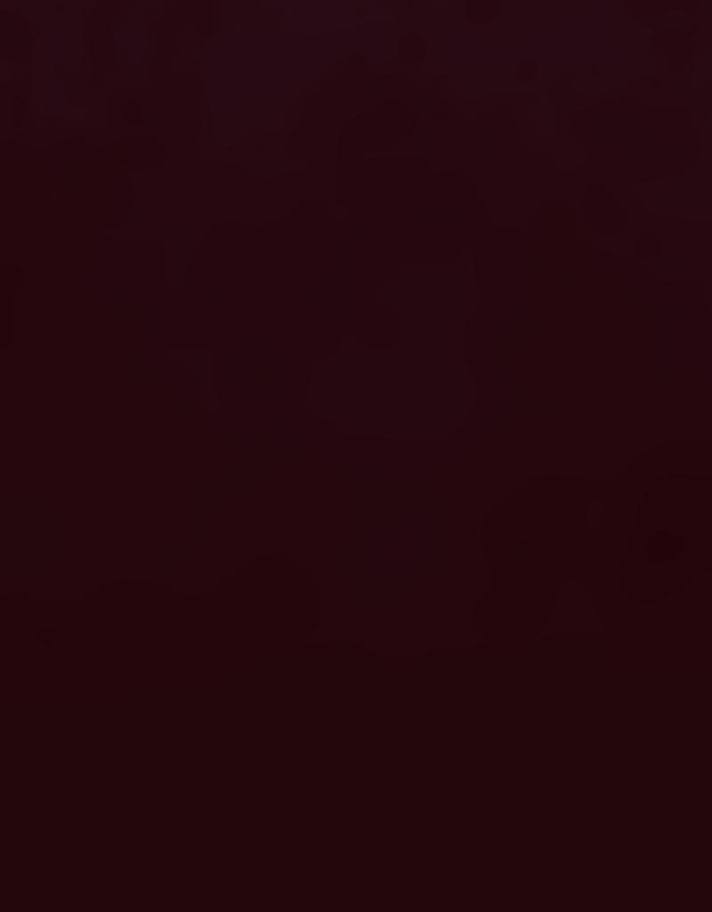 Nova - Kill the past to save the future - Episode 3, Page 2: No matter who it is