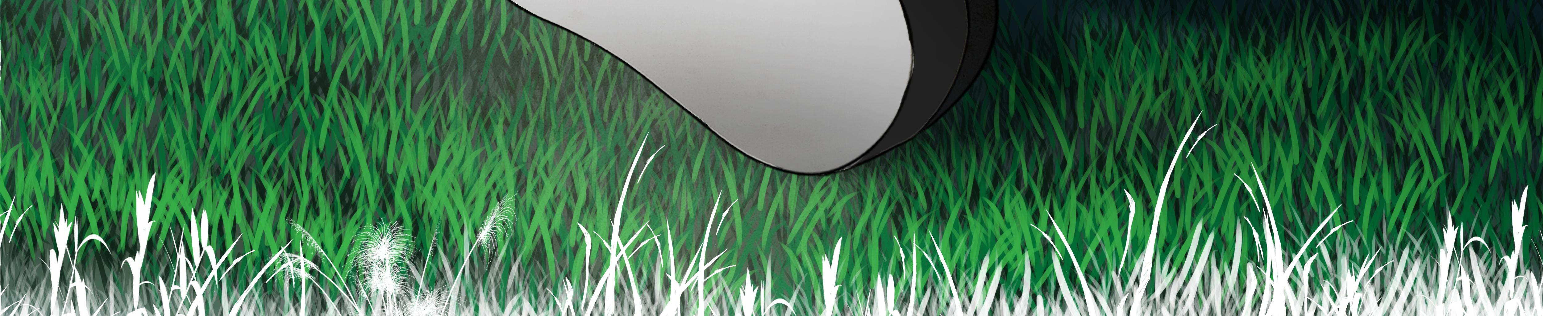 Niveous - Episode 1, Page 2: The incompetent boy and the virtuos monster