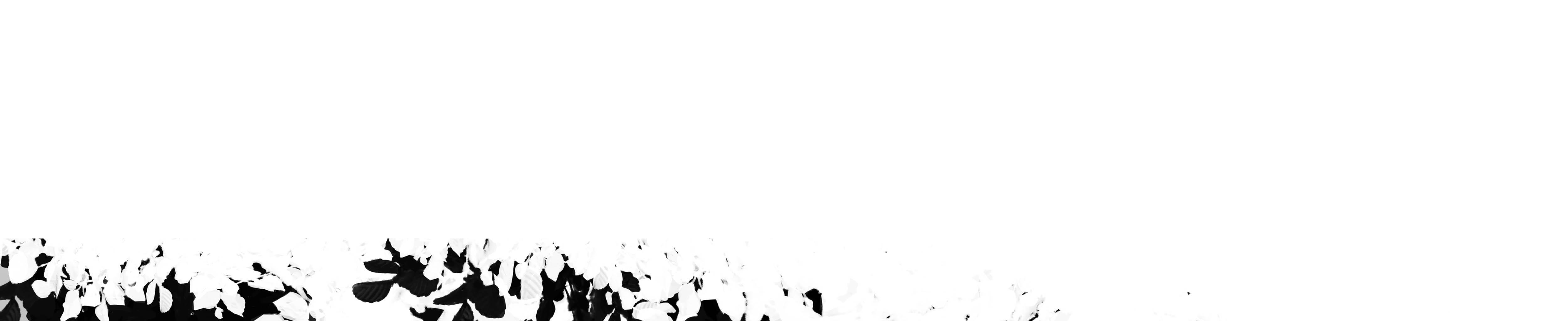 Niveous - Episode 1, Page 8: The incompetent boy and the virtuos monster