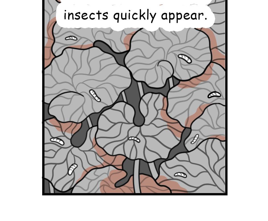 Mikesaka Art Class (◆Episodes are about art methods.) - Episode 39, Page 2: The Black Heifer(2/3)